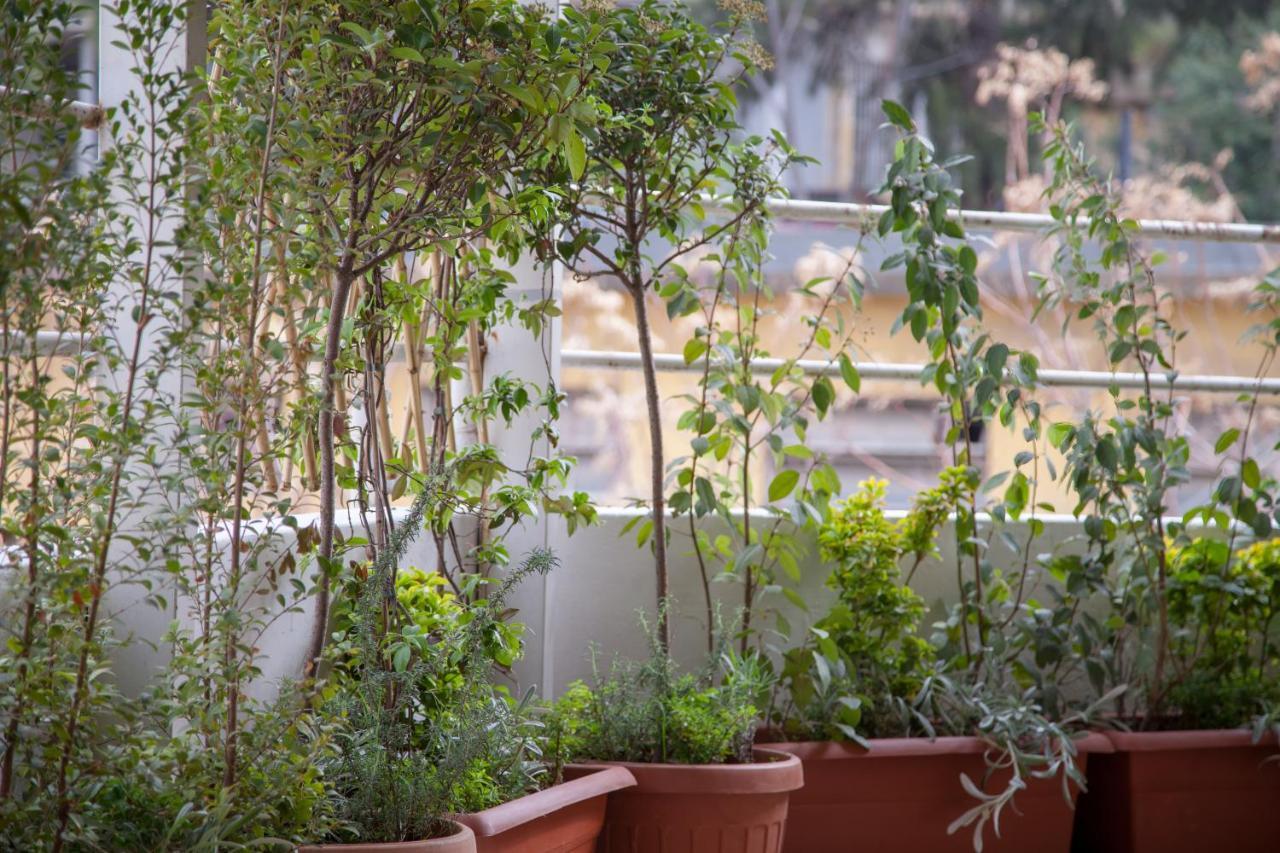 Mar Mikhael 2bd Rooftop & Terrace